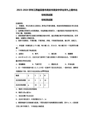2023-2024学年江西省宜春市高安市高安中学化学九上期中达标检测试题含解析.doc