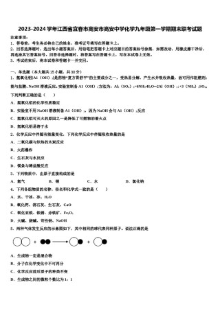 2023-2024学年江西省宜春市高安市高安中学化学九年级第一学期期末联考试题含解析.doc