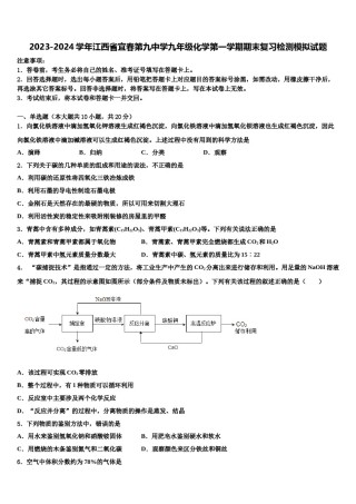 2023-2024学年江西省宜春第九中学九年级化学第一学期期末复习检测模拟试题含解析.doc
