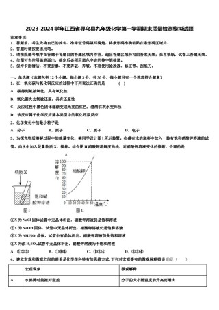 2023-2024学年江西省寻乌县九年级化学第一学期期末质量检测模拟试题含解析.doc