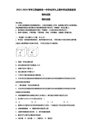 2023-2024学年江西省新余一中学化学九上期中学业质量监测模拟试题含解析.doc