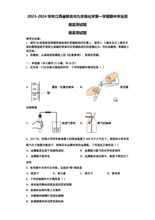 2023-2024学年江西省新余市九年级化学第一学期期中学业质量监测试题含解析.doc