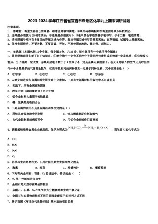 2023-2024学年江西省省宜春市袁州区化学九上期末调研试题含解析.doc