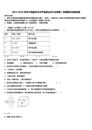 2023-2024学年江西省萍乡市芦溪县化学九年级第一学期期末经典试题含解析.doc