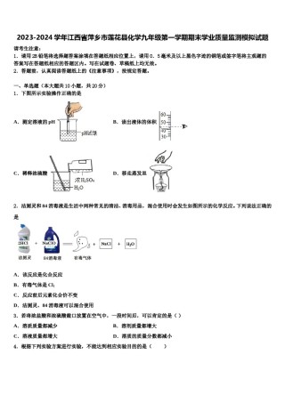 2023-2024学年江西省萍乡市莲花县化学九年级第一学期期末学业质量监测模拟试题含解析.doc