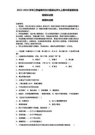 2023-2024学年江西省赣州市兴国县化学九上期中质量跟踪监视模拟试题含解析.doc