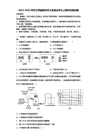 2023-2024学年江西省赣州市大余县化学九上期中经典试题含解析.doc