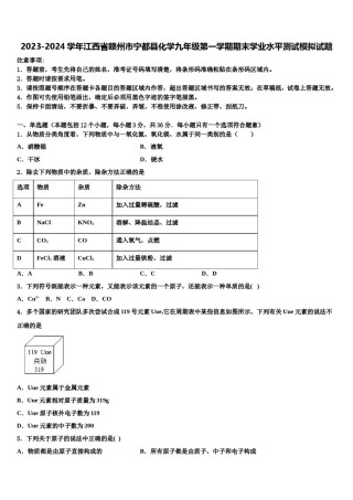 2023-2024学年江西省赣州市宁都县化学九年级第一学期期末学业水平测试模拟试题含解析.doc
