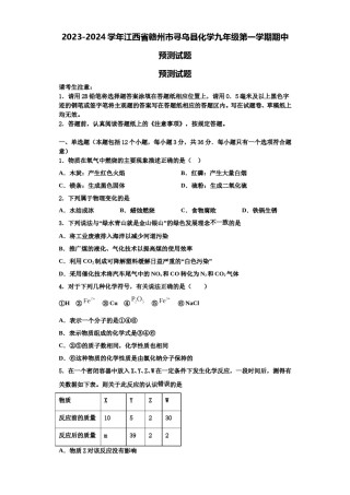 2023-2024学年江西省赣州市寻乌县化学九年级第一学期期中预测试题含解析.doc