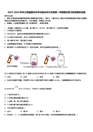 2023-2024学年江西省赣州市寻乌县化学九年级第一学期期末复习检测模拟试题含解析.doc