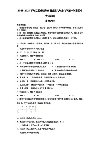 2023-2024学年江西省赣州市石城县九年级化学第一学期期中考试试题含解析.doc