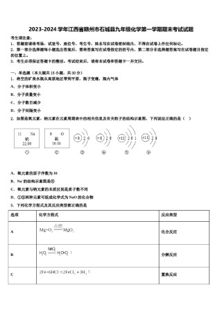 2023-2024学年江西省赣州市石城县九年级化学第一学期期末考试试题含解析.doc