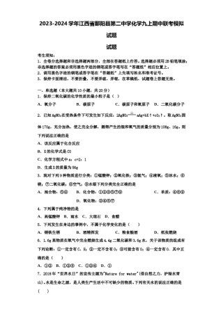 2023-2024学年江西省鄱阳县第二中学化学九上期中联考模拟试题含解析.doc