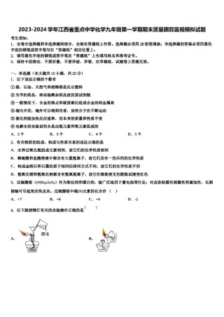 2023-2024学年江西省重点中学化学九年级第一学期期末质量跟踪监视模拟试题含解析.doc