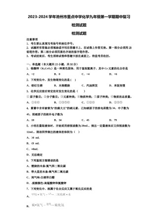 2023-2024学年池州市重点中学化学九年级第一学期期中复习检测试题含解析.doc