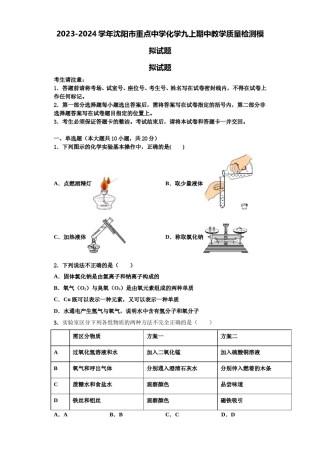 2023-2024学年沈阳市重点中学化学九上期中教学质量检测模拟试题含解析.doc