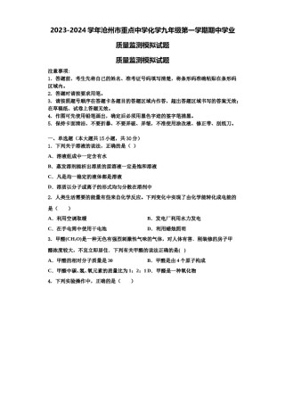 2023-2024学年沧州市重点中学化学九年级第一学期期中学业质量监测模拟试题含解析.doc