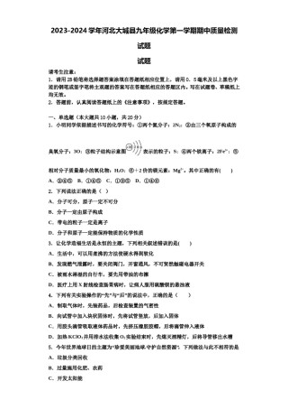 2023-2024学年河北大城县九年级化学第一学期期中质量检测试题含解析.doc