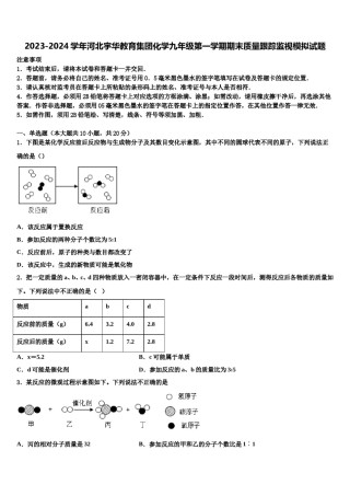 2023-2024学年河北宇华教育集团化学九年级第一学期期末质量跟踪监视模拟试题含解析.doc