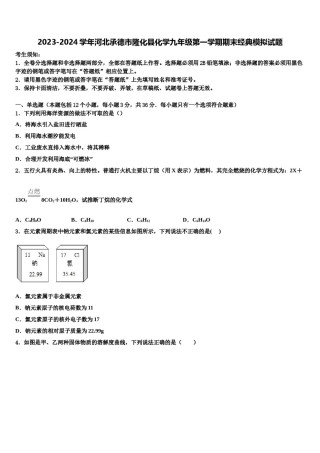 2023-2024学年河北承德市隆化县化学九年级第一学期期末经典模拟试题含解析.doc