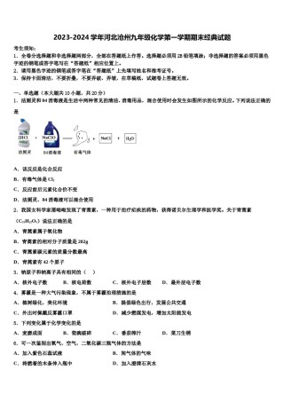 2023-2024学年河北沧州九年级化学第一学期期末经典试题含解析.doc