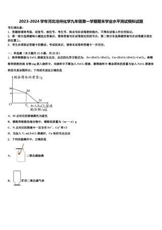2023-2024学年河北沧州化学九年级第一学期期末学业水平测试模拟试题含解析.doc