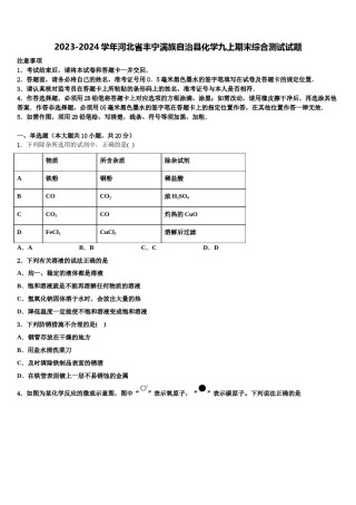 2023-2024学年河北省丰宁满族自治县化学九上期末综合测试试题含解析.doc
