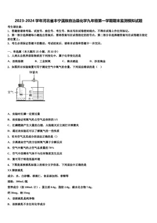 2023-2024学年河北省丰宁满族自治县化学九年级第一学期期末监测模拟试题含解析.doc