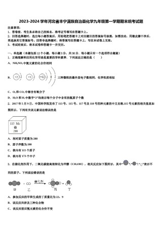 2023-2024学年河北省丰宁满族自治县化学九年级第一学期期末统考试题含解析.doc