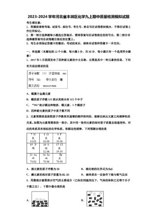 2023-2024学年河北省丰润区化学九上期中质量检测模拟试题含解析.doc