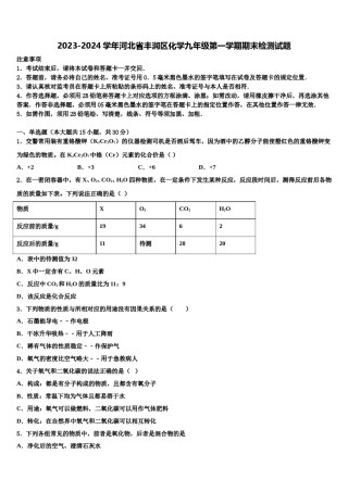 2023-2024学年河北省丰润区化学九年级第一学期期末检测试题含解析.doc