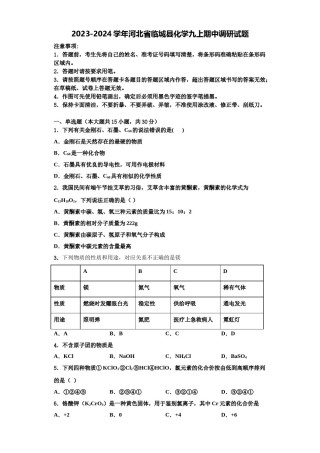 2023-2024学年河北省临城县化学九上期中调研试题含解析.doc