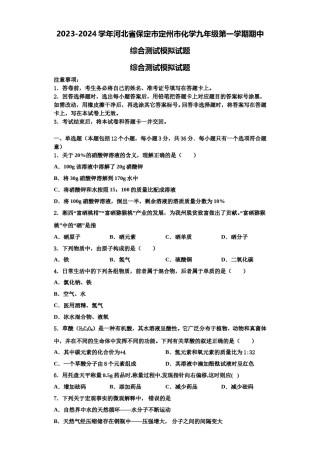 2023-2024学年河北省保定市定州市化学九年级第一学期期中综合测试模拟试题含解析.doc