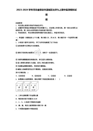 2023-2024学年河北省保定市满城区化学九上期中监测模拟试题含解析.doc