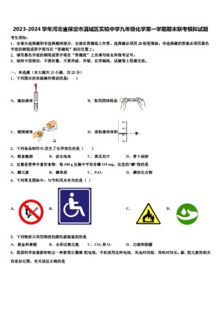 2023-2024学年河北省保定市满城区实验中学九年级化学第一学期期末联考模拟试题含解析.doc
