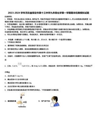 2023-2024学年河北省保定市第十三中学九年级化学第一学期期末经典模拟试题含解析.doc