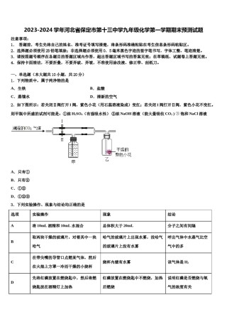 2023-2024学年河北省保定市第十三中学九年级化学第一学期期末预测试题含解析.doc