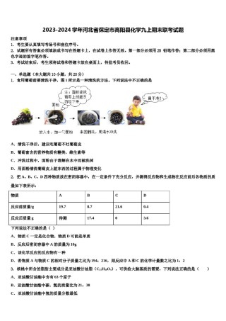 2023-2024学年河北省保定市高阳县化学九上期末联考试题含解析.doc