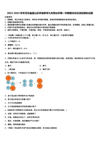 2023-2024学年河北省唐山乐亭县联考九年级化学第一学期期末综合测试模拟试题含解析.doc