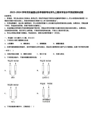 2023-2024学年河北省唐山乐亭县联考化学九上期末学业水平测试模拟试题含解析.doc
