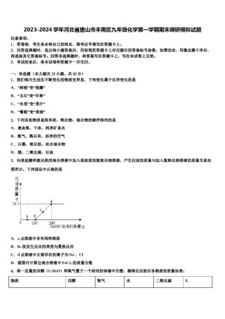 2023-2024学年河北省唐山市丰南区九年级化学第一学期期末调研模拟试题含解析.doc