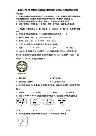 2023-2024学年河北省唐山市丰南区化学九上期中考试试题含解析.doc