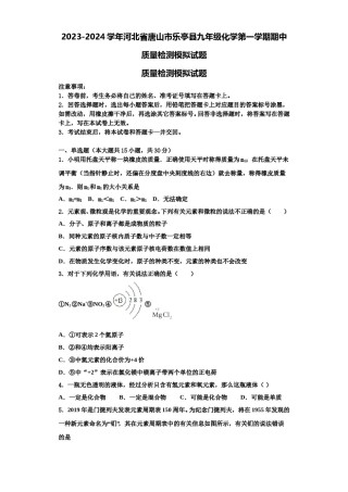 2023-2024学年河北省唐山市乐亭县九年级化学第一学期期中质量检测模拟试题含解析.doc