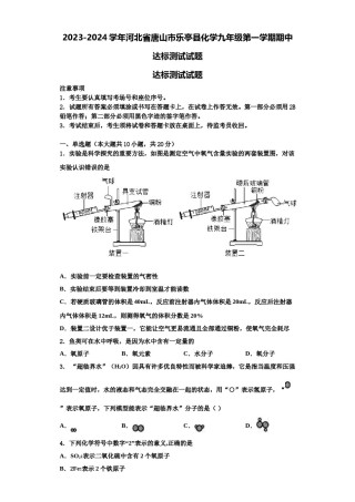 2023-2024学年河北省唐山市乐亭县化学九年级第一学期期中达标测试试题含解析.doc