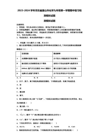 2023-2024学年河北省唐山市化学九年级第一学期期中复习检测模拟试题含解析.doc