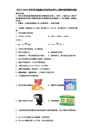 2023-2024学年河北省唐山市名校化学九上期中监测模拟试题含解析.doc