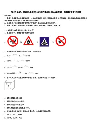 2023-2024学年河北省唐山市林西中学化学九年级第一学期期末考试试题含解析.doc