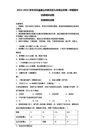 2023-2024学年河北省唐山市路北区九年级化学第一学期期中经典模拟试题含解析.doc