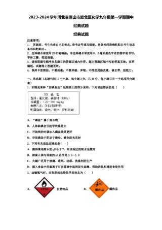 2023-2024学年河北省唐山市路北区化学九年级第一学期期中经典试题含解析.doc