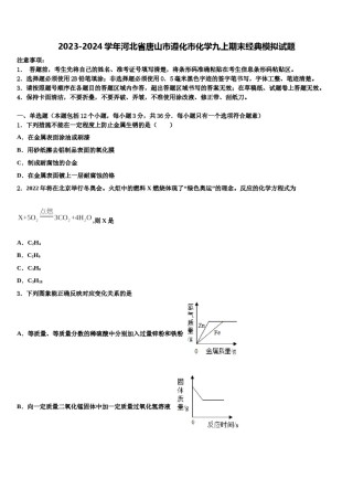 2023-2024学年河北省唐山市遵化市化学九上期末经典模拟试题含解析.doc